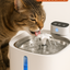 Fontaine à eau pour chat à piles avec capteur, 3,2 litres